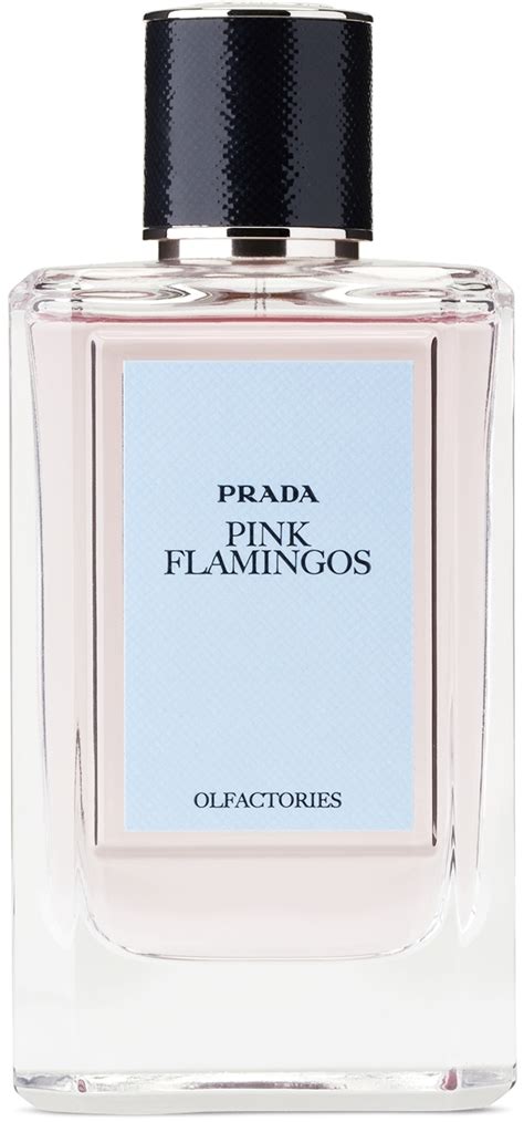 prada pink flamingo perfume